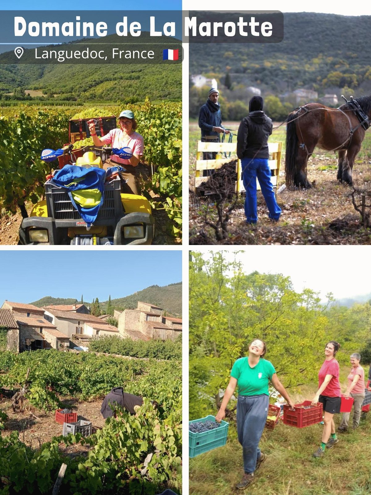 Domaine de La Marotte - Julie Thelen & Xavier Auboux